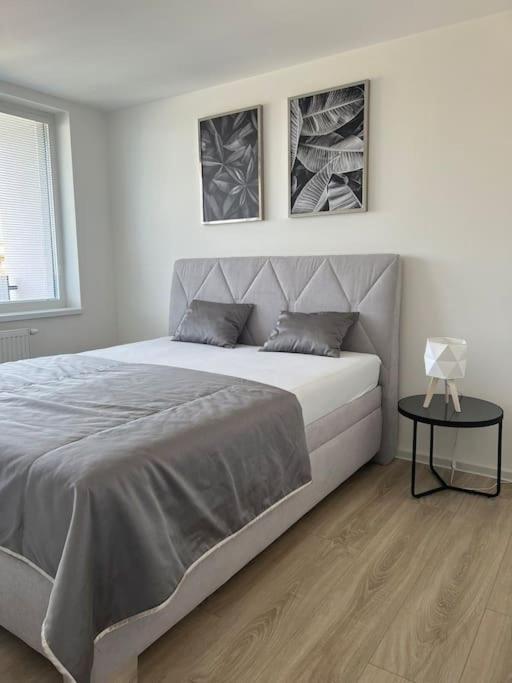 Apartman Centrum S Parkovanim Caşonia Exterior foto